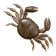 Crab